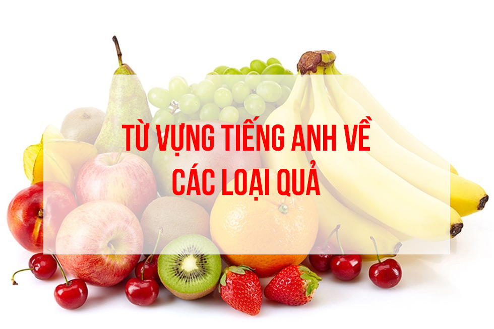 Từ vựng tiếng Anh về các loại quả